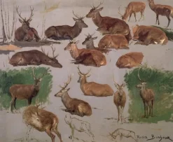 Boutiques de musées Etude de cerf ; 19 esquisses (toiles sur châssis) Best