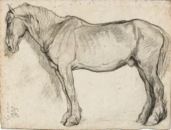 Boutiques de musées Etude de cheval (panneaux acryliques) New