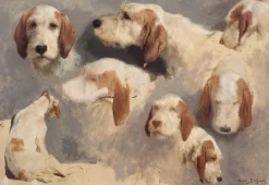 Panneaux Aluminium|Panneaux Acryliques<Boutiques de musées Etude de chien de chasse ; 8 esquisses (panneaux aluminium)