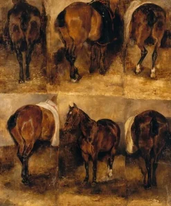 Boutiques de musées Etudes de chevaux (toiles encadrées)