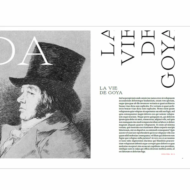 Boutiques de musées Expérience Goya - Catalogue d'exposition