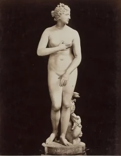 Panneaux Aluminium|Panneaux Acryliques<Boutiques de musées Firenze - Galleria Uffizi, la Venere de' Medici (Cléomène) (panneaux aluminium)
