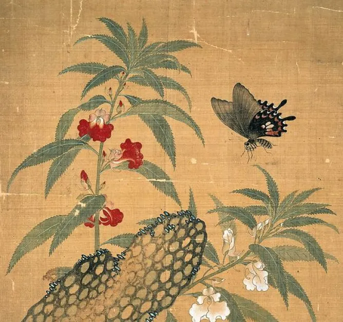 Boutiques de musées Fleurs et insectes (affiches d'art) Best