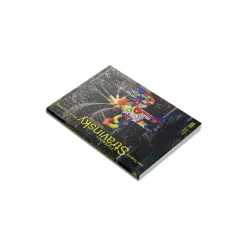 Livres D'Art<Boutiques de musées Fontaine Stravinsky - Niki de Saint-Phalle - Jean Tinguely