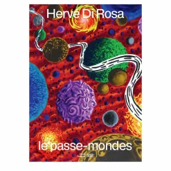 Catalogues D'Exposition<Boutiques de musées Hervé Di Rosa. Le passe-mondes - Catalogue d'exposition