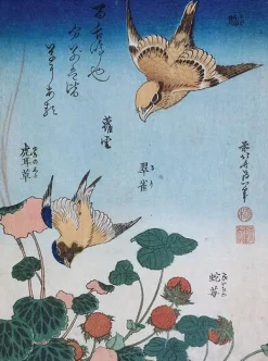 Boutiques de musées Hirondelle et pie sur fraisier et bégonia (panneaux acryliques) Best