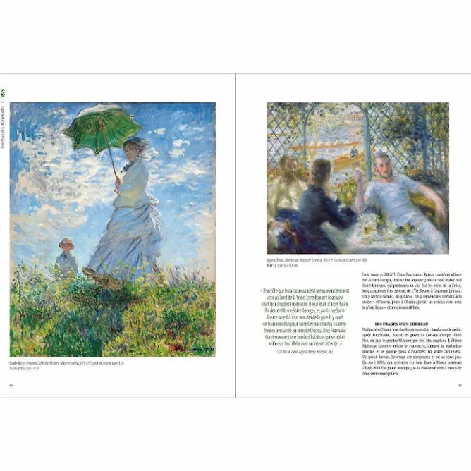 Livres D'Art<Boutiques de musées Histoire vivante de l'impressionnisme