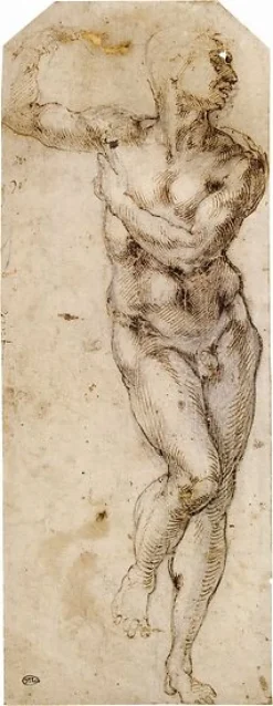 Toiles Encadrées|Toiles Sur Châssis<Boutiques de musées Homme nu, debout, la tête de profil versla droite (détail) (toiles encadrées)