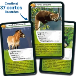 Boutiques de musées Jeu de cartes Défis nature - Asie - Bioviva Outlet