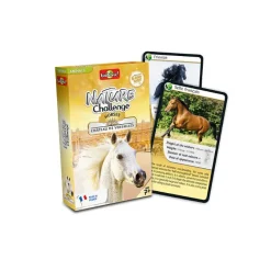 Jeux<Boutiques de musées Jeu de cartes Défis Nature - Chevaux Château de Versailles GB