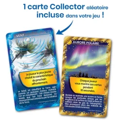 Jeux<Boutiques de musées Jeu de cartes Défis Nature - Civilisations disparues - Bioviva