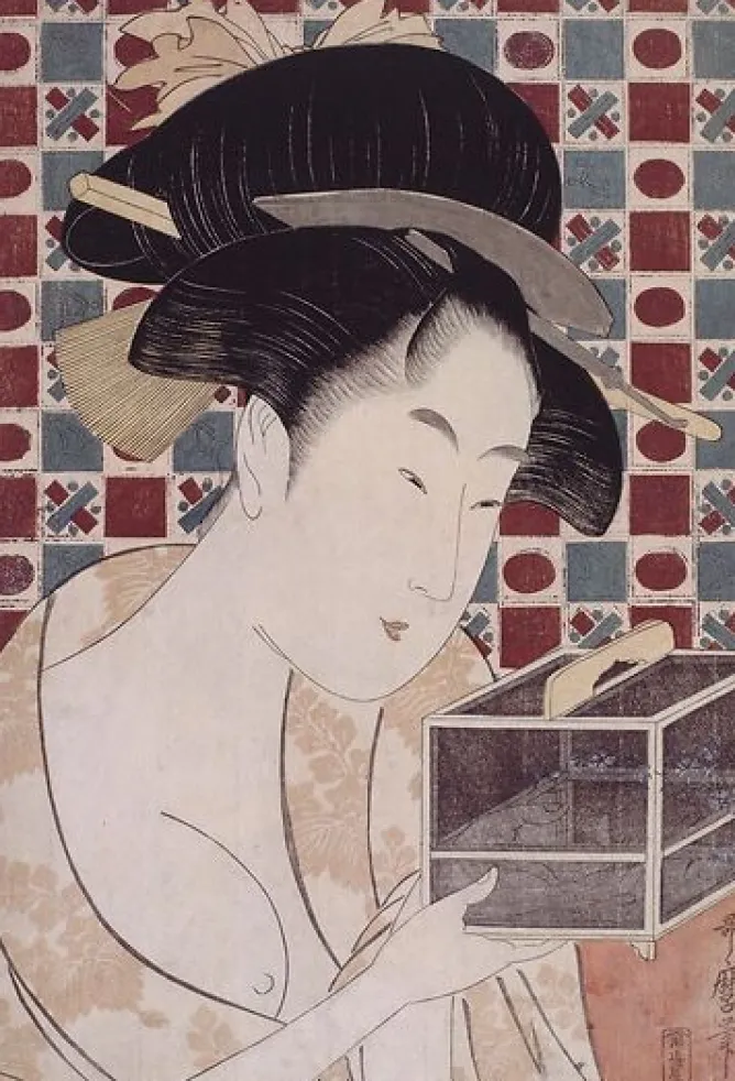 Boutiques de musées La cage à insectes (affiches d'art encadrées) Hot