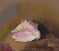 Panneaux Acryliques|Toiles Encadrées<Boutiques de musées La Coquille : en bas à droite, petit coquillage, dans l'ombre (panneaux acryliques)