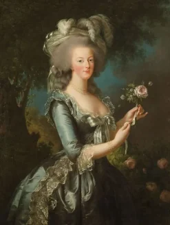 Panneaux Aluminium|Toiles Encadrées<Boutiques de musées La reine Marie-Antoinette dit "à la Rose" (panneaux aluminium)