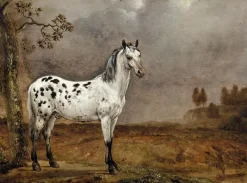 Affiches D'Art|Toiles Sans Cadre<Boutiques de musées Le Cheval pie (affiches d'art)
