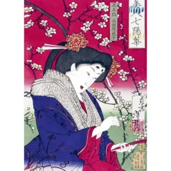 Livres D'Art<Boutiques de musées Les cerisiers en fleur par les grands maîtres de l'estampe japonaise (coffret)
