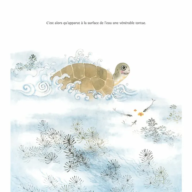 Boutiques de musées Les lapins et la tortue Clearance