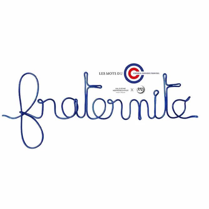 Design<Boutiques de musées Les mots du Conseil constitutionnel - Fraternité Bleu