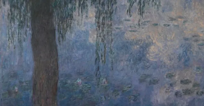 Toiles Encadrées|Affiches D'Art Encadrées<Boutiques de musées Les Nymphéas : Le Matin aux Saules (toiles encadrées)