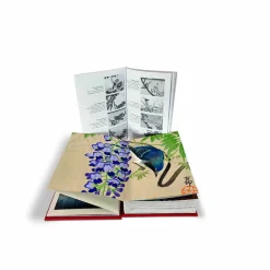Livres D'Art<Boutiques de musées Les oiseaux par les grands maîtres de l'estampe japonaise