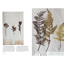 Histoire, Géographie Et Sciences<Boutiques de musées L'herbier du Museum - L'aventure d'une collection