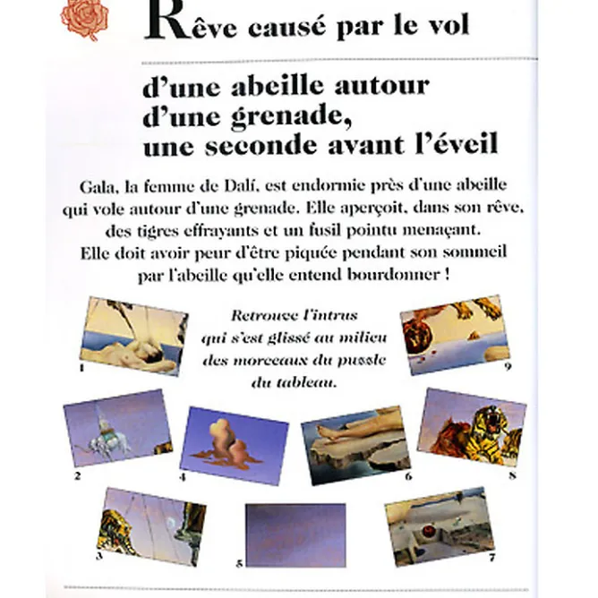 Livres Jeunesse<Boutiques de musées Livre-jeu Quel drôle de génie ce Dalí ! - Salut l'artiste