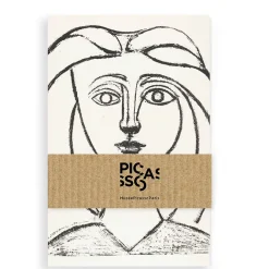 Boutiques de musées Lot 3 carnets Picasso Dessins Best