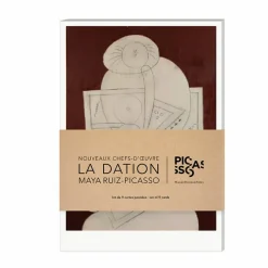 Boutiques de musées Lot de 9 cartes postales 14 x 20 cm - Nouveaux chefs d'œuvre. La dation Maya Ruiz-Picasso Hot