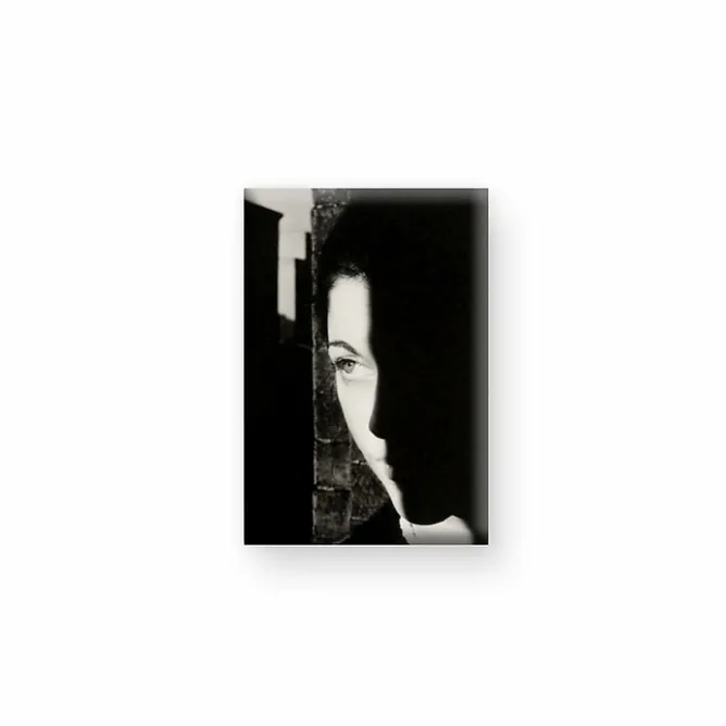 Boutiques de musées Magnet Ralph Gibson - Christine New