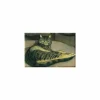 Boutiques de musées Magnet Théophile Alexandre Steinlen - Chat sur un fauteuil, entre 1859 et 1923 New
