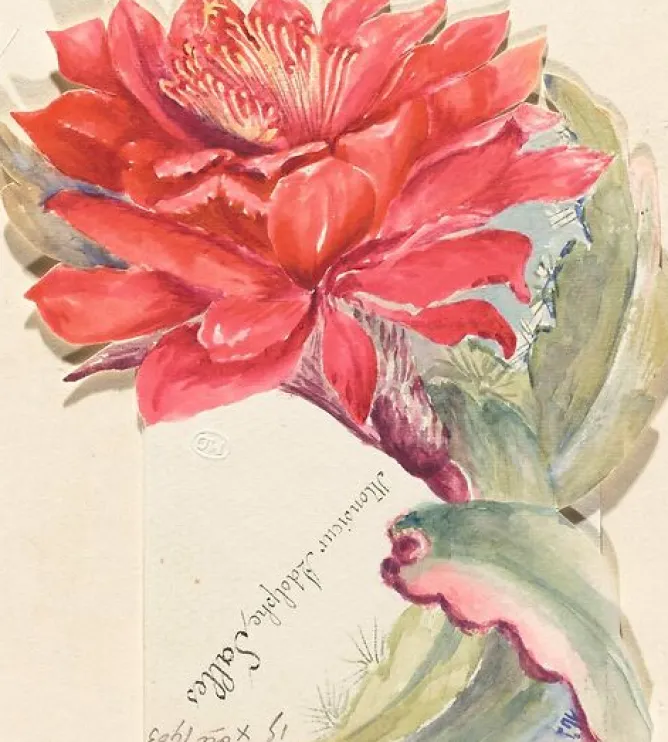 Panneaux Aluminium|Panneaux Acryliques<Boutiques de musées Menu d'Adolphe Salles (panneaux aluminium)
