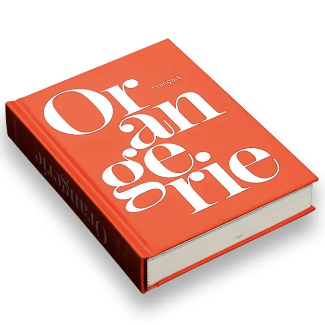Livres Anglais Et Étranger|Guides De Musées<Boutiques de musées Mini guide de l'Orangerie