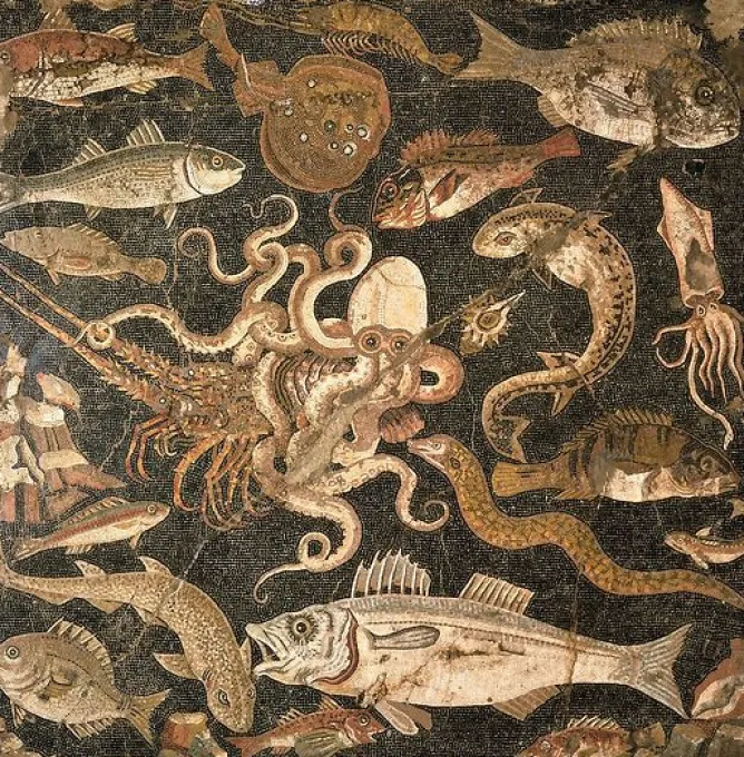 Panneaux Acryliques|Toiles Encadrées<Boutiques de musées Mosaïque représentant une bataille entre une pieuvre et un homard (détail), IIe siècle avant J.-C. (panneaux acryliques)