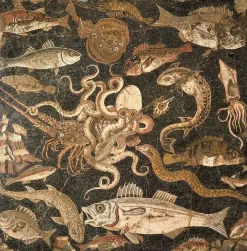 Boutiques de musées Mosaïque représentant une bataille entre une pieuvre et un homard (détail), IIe siècle avant J.-C. (panneaux aluminium) Discount