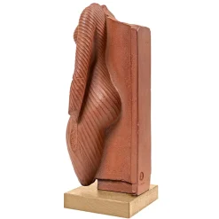 Antiquités Orientales Et Égyptiennes<Boutiques de musées Moulage Torse de femme identifié à Néfertiti