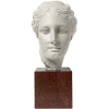 Antiquités Gallo-Romaines & Gréco-Romaines<Boutiques de musées Moulage Tête de la déesse Hygie