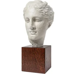 Antiquités Gallo-Romaines & Gréco-Romaines<Boutiques de musées Moulage Tête de la déesse Hygie