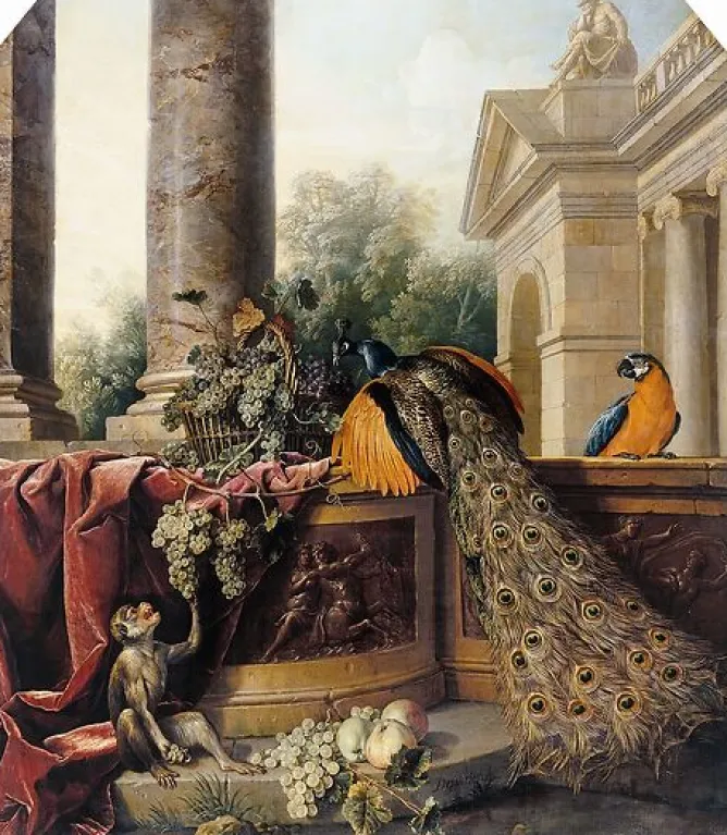 Toiles Encadrées|Affiches D'Art Encadrées<Boutiques de musées Paon, singe, fruits et bas-relief (toiles encadrées)