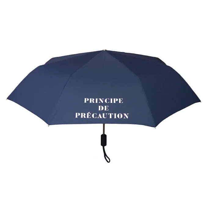 Boutiques de musées Parapluie pliable Conseil constitutionnel - Principe de précaution Clearance