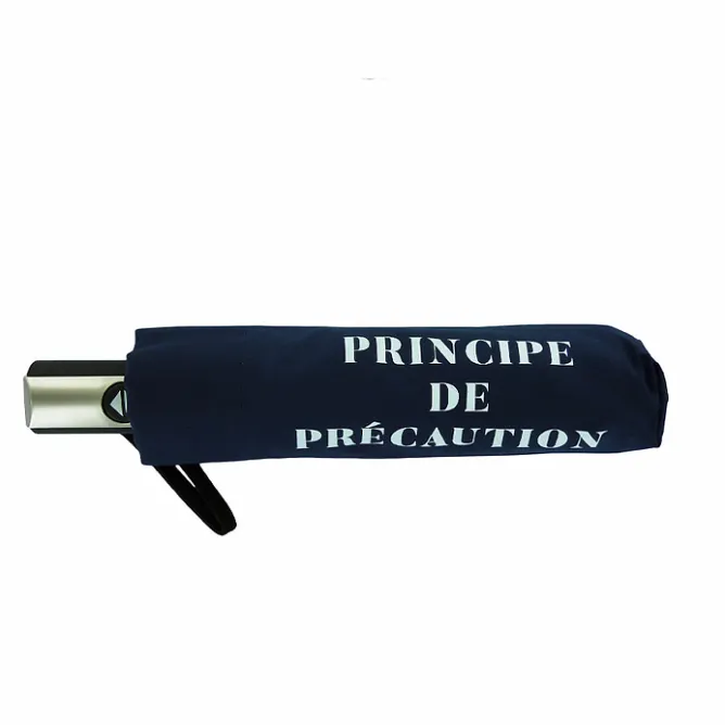 Boutiques de musées Parapluie pliable Conseil constitutionnel - Principe de précaution Clearance