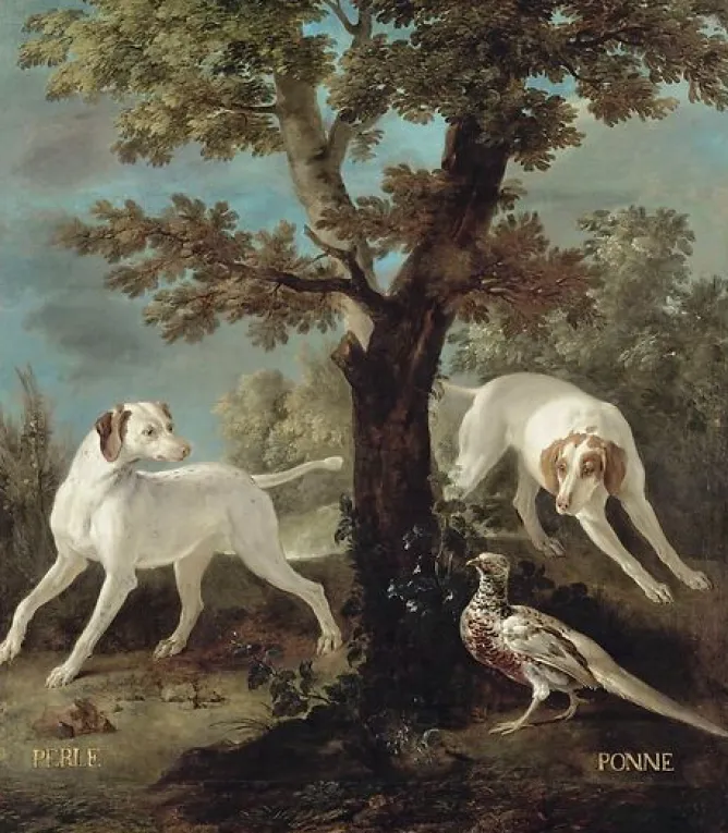 Panneaux Acryliques|Toiles Encadrées<Boutiques de musées Perle et Ponne, chiennes de la meute de Louis XV (panneaux acryliques)
