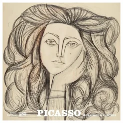 Catalogues D'Exposition<Boutiques de musées Picasso - Dessiner à l'infini - Album de l'exposition