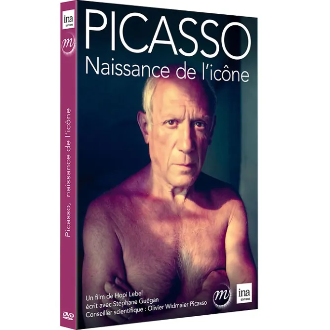Dvd Culturels<Boutiques de musées Picasso. Naissance de l'icône