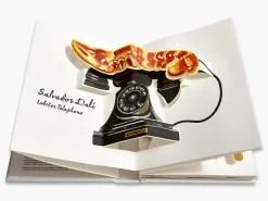 Livres Jeunesse<Boutiques de musées Pop-Up Surrealism