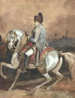 Panneaux Acryliques|Toiles Encadrées<Boutiques de musées Portrait équestre de Napoléon (panneaux acryliques)