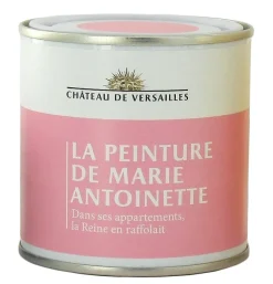 Boutiques de musées Pot de peinture Marie-Antoinette - Rose Clearance