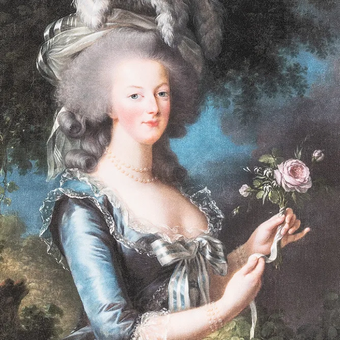 Boutiques de musées Sac Portrait de la reine Marie-Antoinette dit « à la rose » Sale