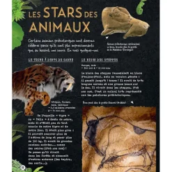 Boutiques de musées Si la Préhistoire m'était contée - Secrets d'Histoire junior New