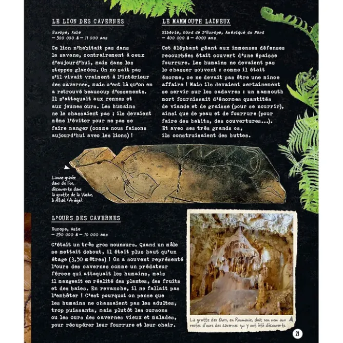 Boutiques de musées Si la Préhistoire m'était contée - Secrets d'Histoire junior New