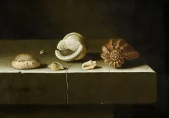 Boutiques de musées Six coquillages sur une table de pierre (affiches d'art) Outlet
